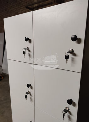 Шафа універсальна LOCKER Локер, 6 комірок ST-158 918х370х854 ST-158-12 фото
